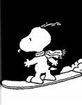 snoopy snowboards.jpg
